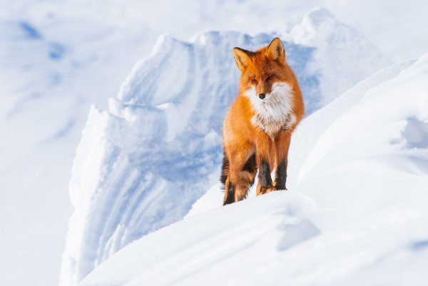 Иван Кислов фотограф