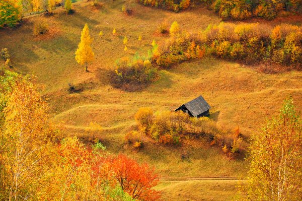 Луговая Поляна осень