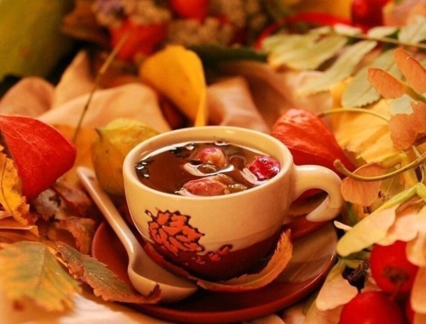 Чай осенью