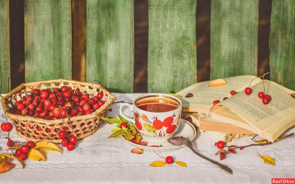 Осень чай цветы
