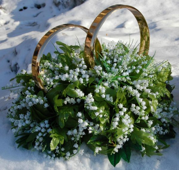 Корзина подснежников на снегу