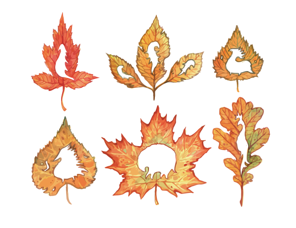 Орнамент из листочков