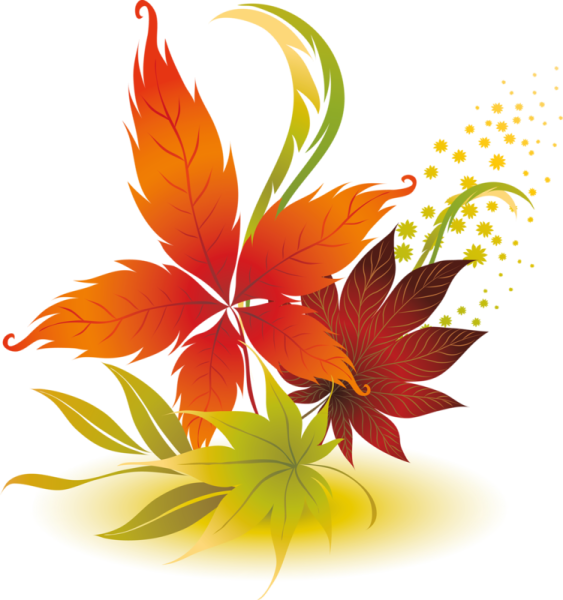 Осенние листья на прозрачном фоне