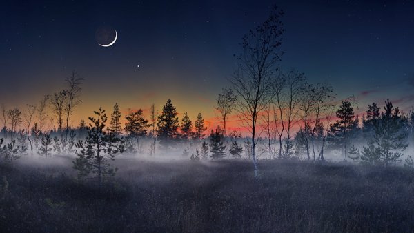 Луна в тумане