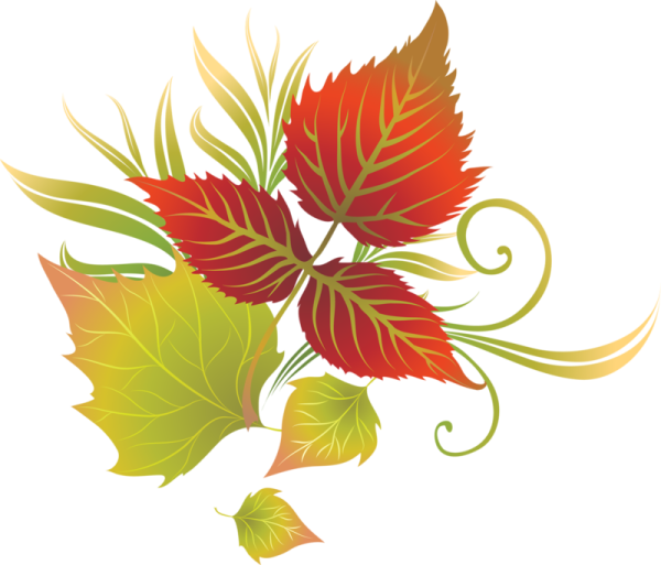 Осенние листочки