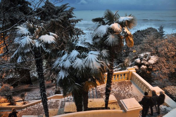 Субтропический климат Адлера