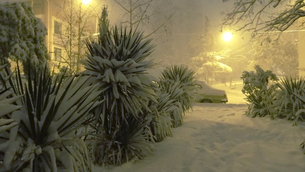 Снег в Сочи