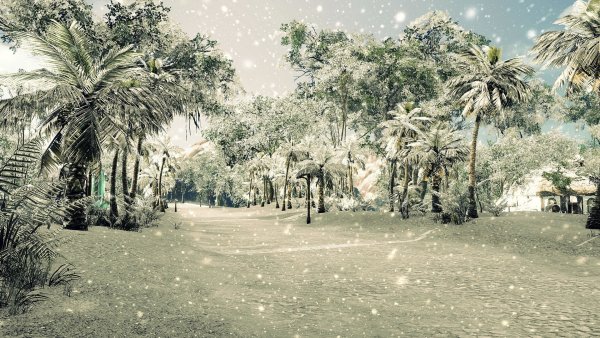 Пальмы под снегом