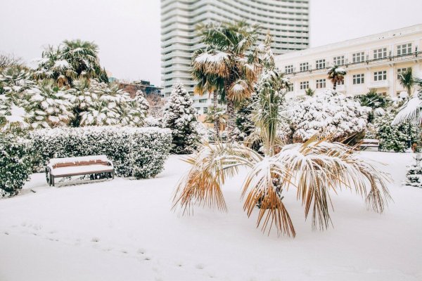 Сочи декабрь 2020 Имеретинский зимой