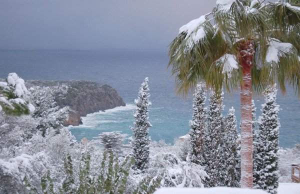 Субтропический климат Сочи снег