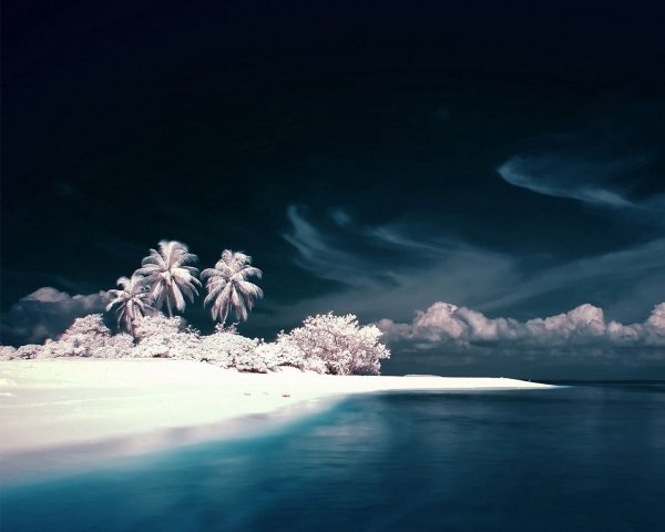 Зима в тропиках