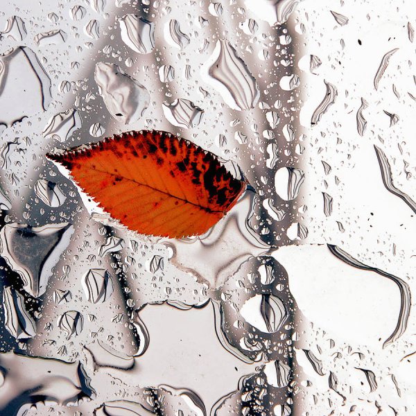 Осенний поцелуй