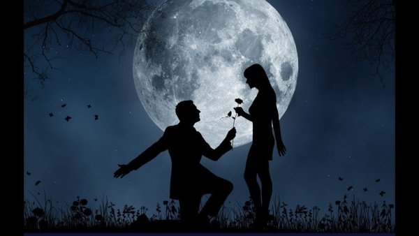 Прогулка под луной