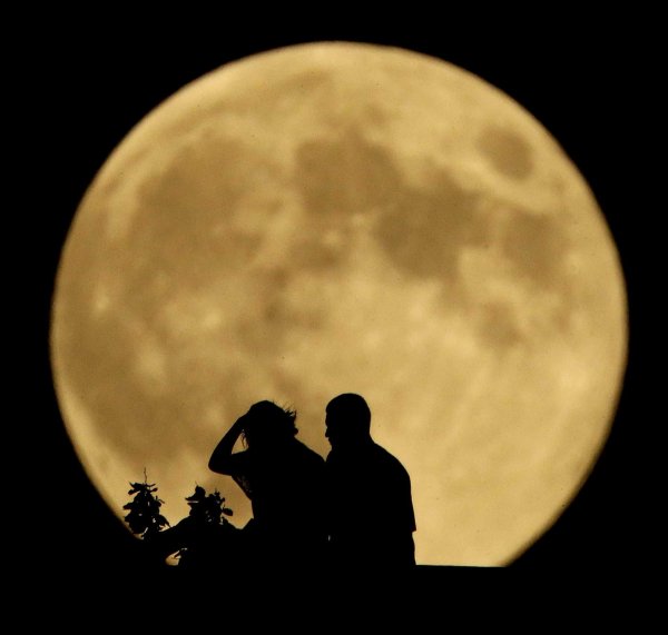 Полная Луна силуэт