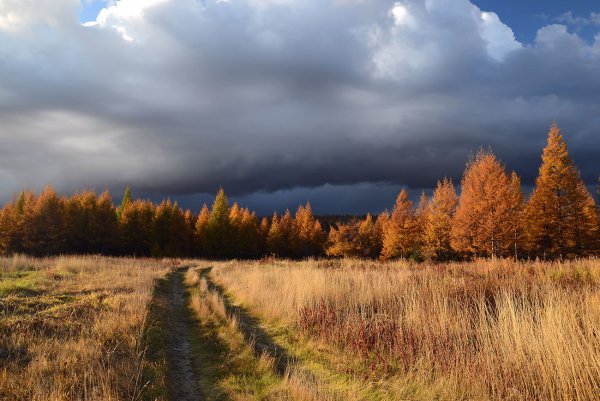Небо осенью