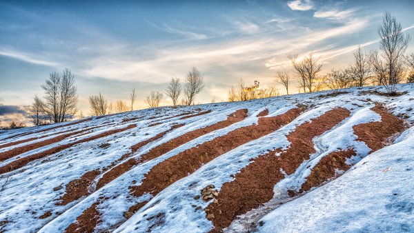 Проталины на полях