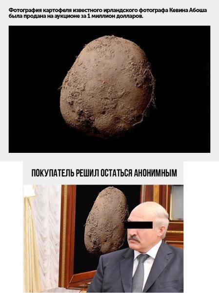 Лукашенко мемы про картошку
