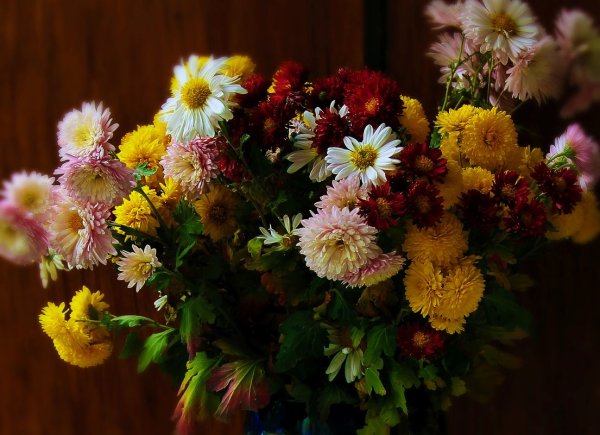 Осенние цветы астры хризантемы Подсолнухи Дубки бархатцы