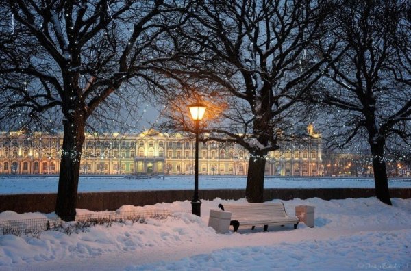 Летний сад в Санкт-Петербурге