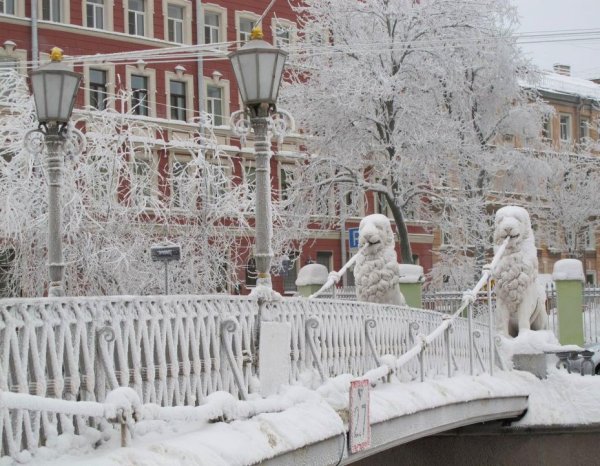 Зима Петербург львиный мостик