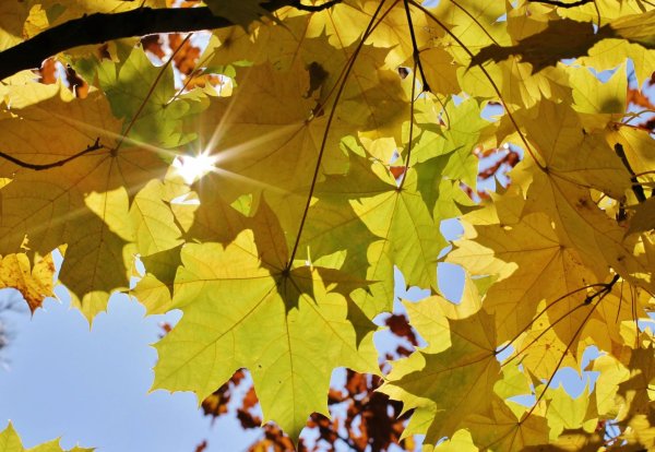 Сентябрьская осень