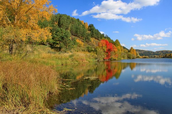 Сентябрь природа