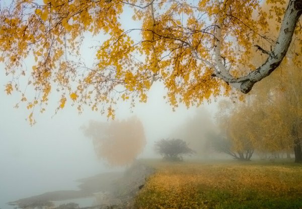 Осень сентябрь