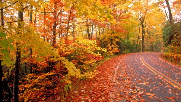 Сентябрь природа