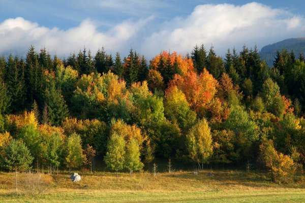 Сентябрь природа