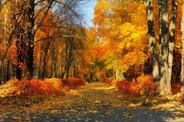 Картина ранняя осень