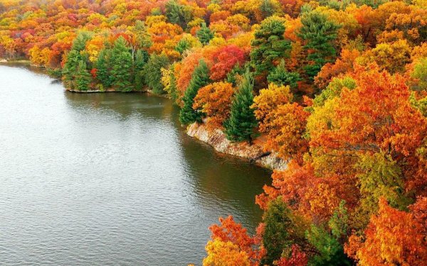 Сентябрь природа