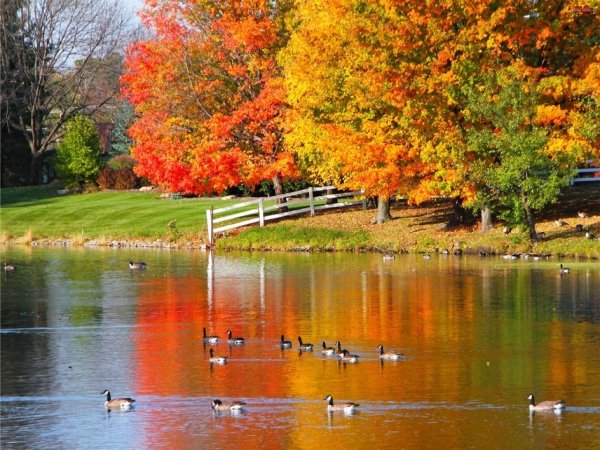 Октябрь природа