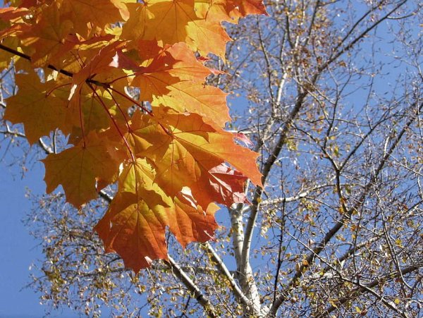 Красивый осенний день сентябрь