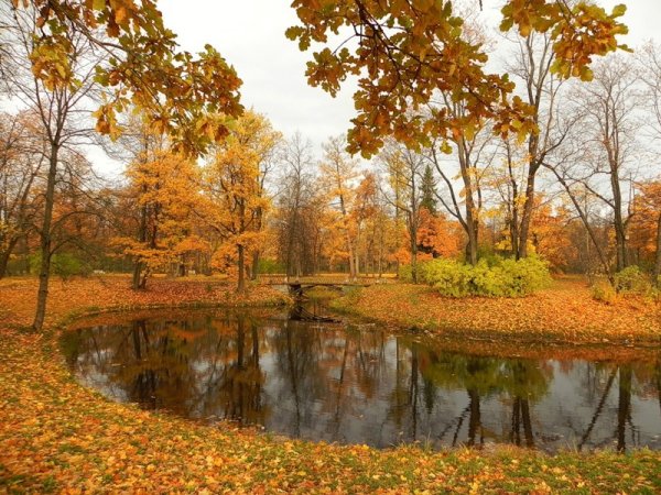 Осень октябрь