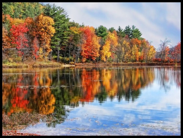 Осенние месяцы сентябрь