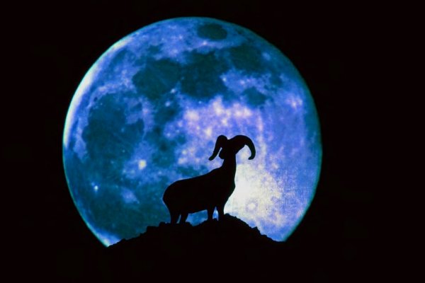 Полнолуние в Козероге