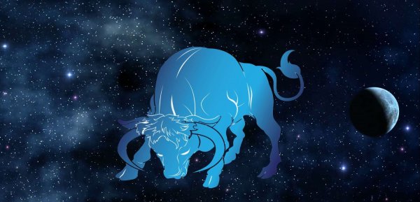 Созвездие быка