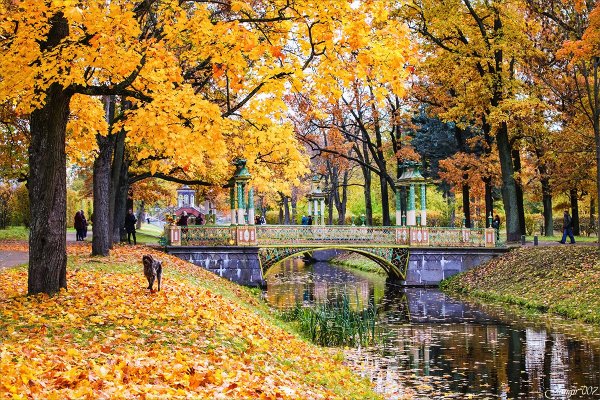 Царское село Золотая осень в Санкт-Петербурге