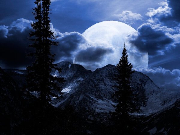 Лес горы Луна