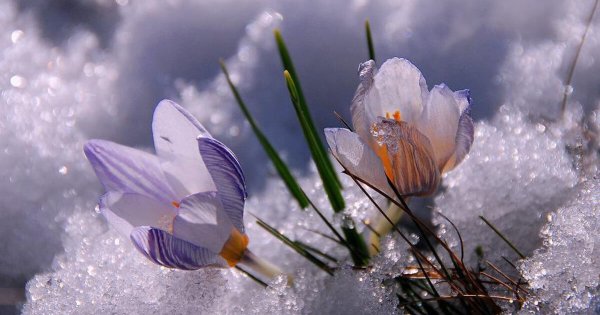 Ранняя Весна настроение