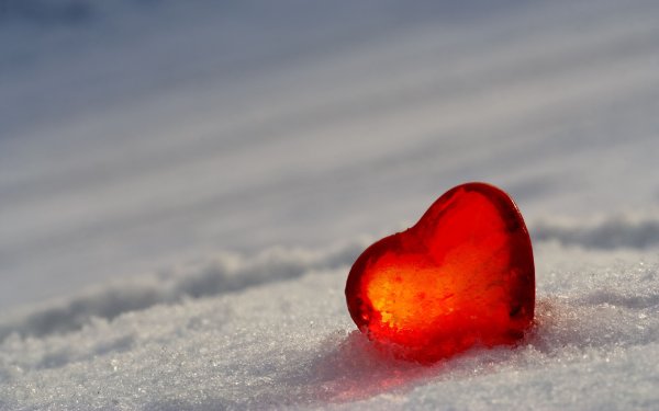 Сердце во льду