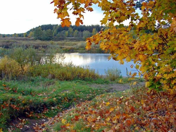 Осень очей очарованье