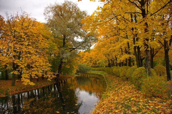 Осенняя пора очей очарованье