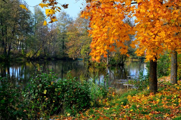 Осень унылая пора