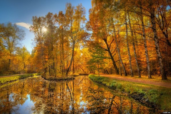 Золотая осень