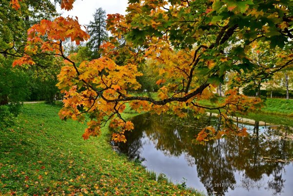 Осенняя пора