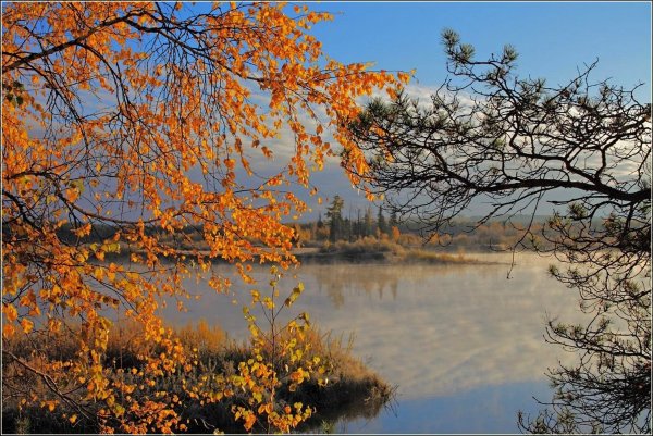 Унылая осень