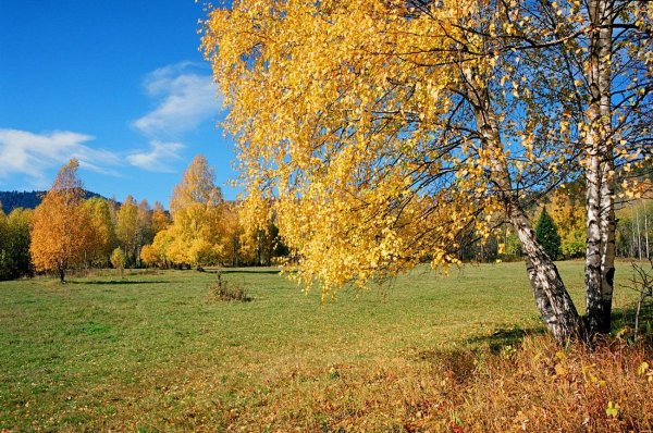 Осенняя пора название
