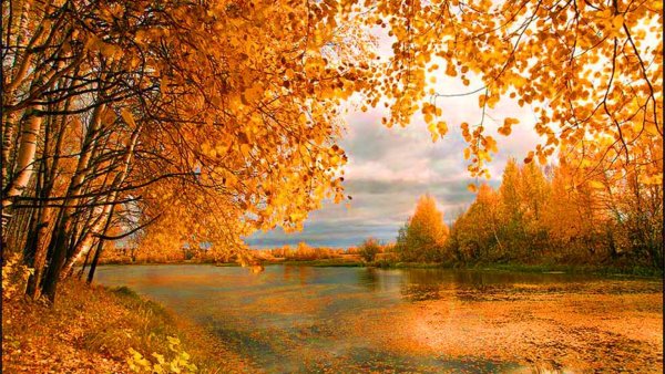Золотая осень