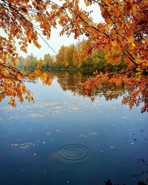 Осеннее озеро